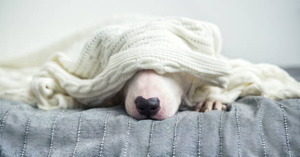 Common cold - Self-care